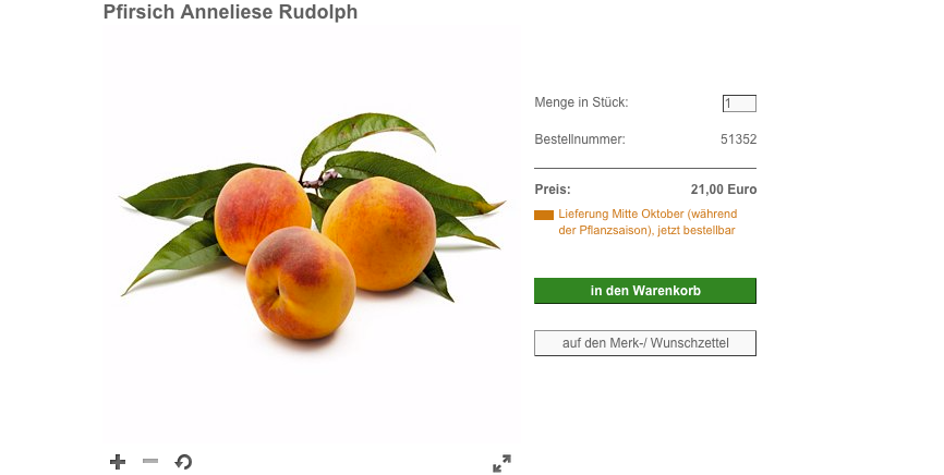 Wie Onlinehändler mit Keywords das Kundenerlebnis verbessern | Blogmarks