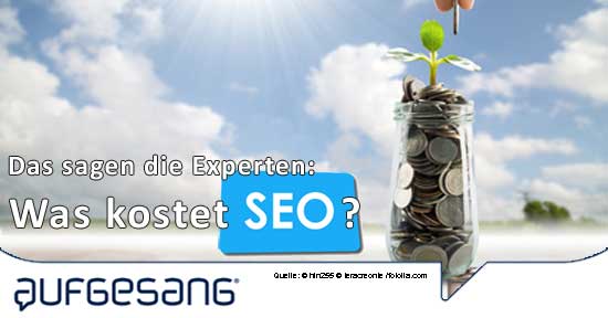 Was kostet SEO? | Blogmarks | Aufgesang