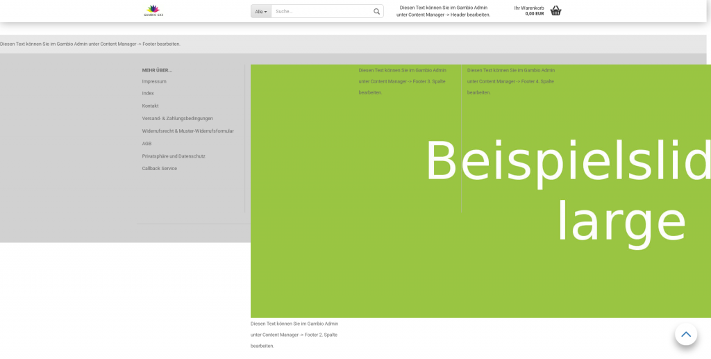 Bild nicht responsiv eingebunden