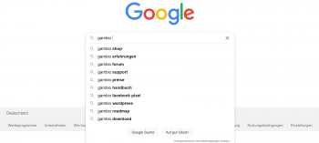 Google Suggest Beispiel