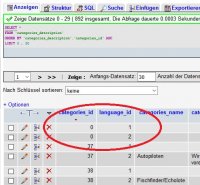 JTL_Datenbank_cat_id_null.jpg