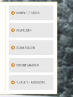 Rechte Suchleiste.JPG