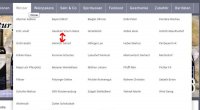 Vertikaler Abstand Kategorien Dropdown.jpg