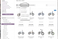 auswahl frontend.png