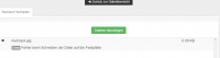 fehler-upload.PNG